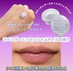 13498512 by @misaki. さん