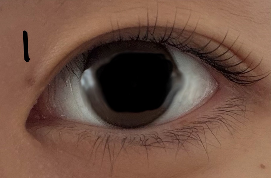 �܂p�ɍ��E�������邩���ė~���� by �������� �̉摜