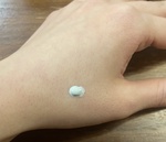 13537056 by ここほれにゃんにゃん さん