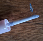 13437613 by にゃん太郎1163 さん