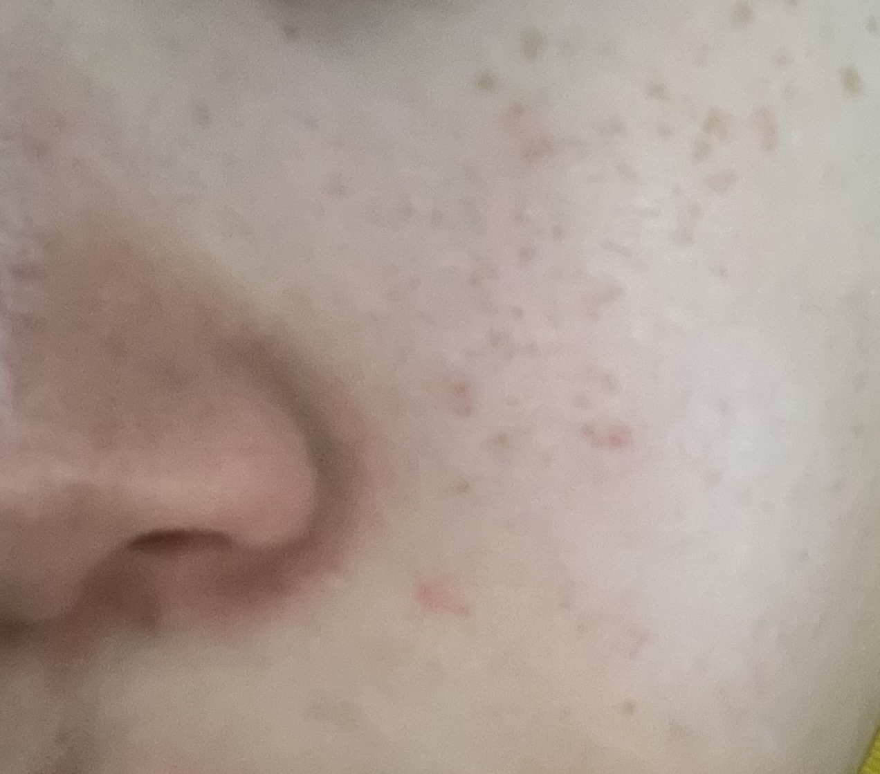 ���ɂ���by 0221.����̉摜