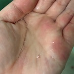 13306403 by あめぎつね さん