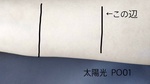 13943268 by フータ・アサリ さん