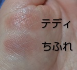 13531728 by ノラコスメ さん