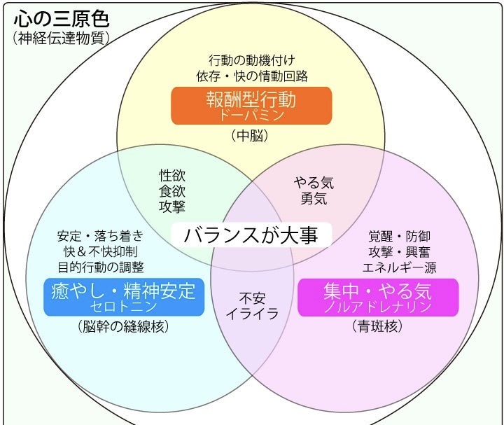 美容以外の質問でごめんなさい by 匿名さん の画像