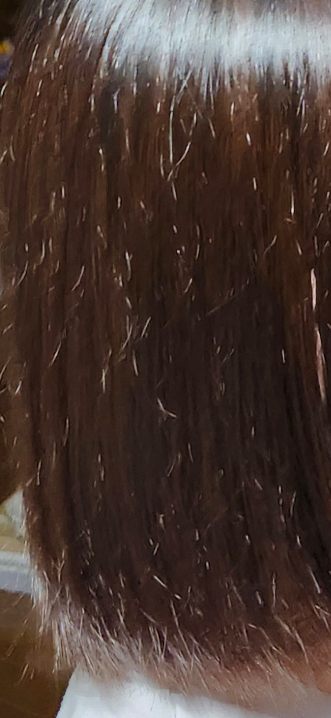 �؂��(�ʐ^�ڂ��Y��܂���)by ��������̉摜