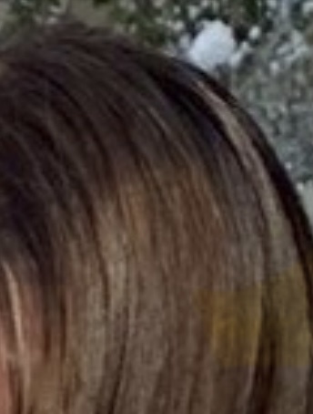 ���̐��ߒ��� by �������� �̉摜