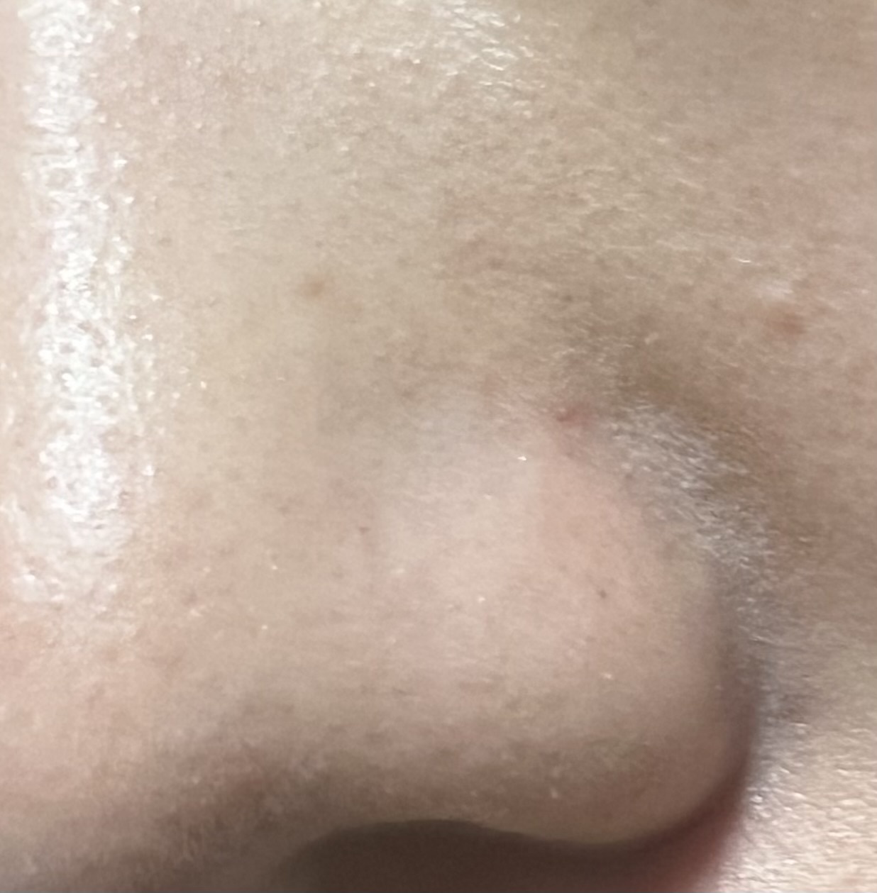 �@���̃t�@���fby ��7788����̉摜