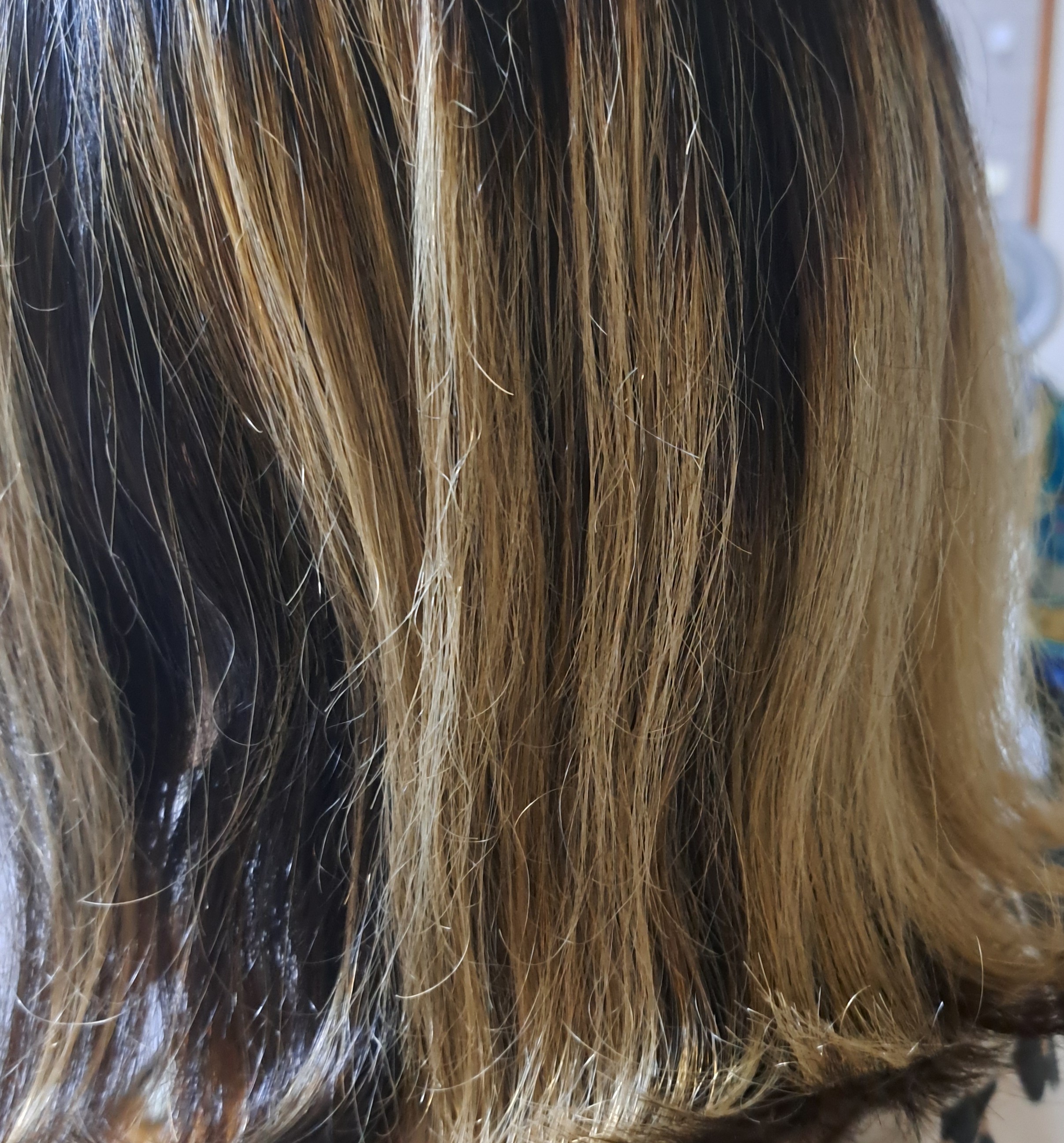 �w�A�P�A�ɂ���by ��������̉摜