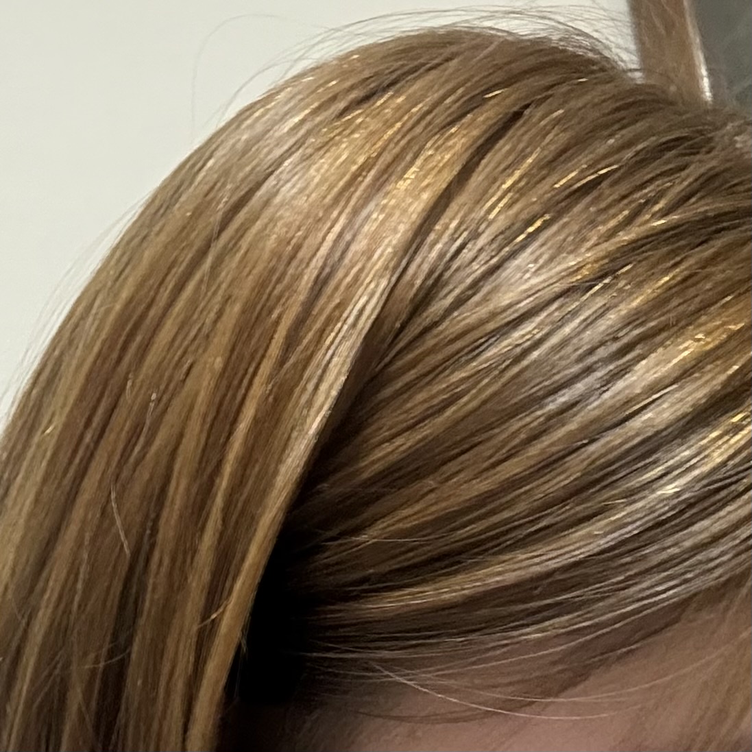 ���F�ɂ��� by �������� �̉摜