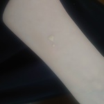 13499579 by kokage1122 さん