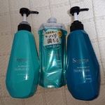 12699130 by しゅんみんの夢 さん