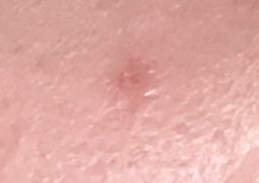 �j�L�r��Ղɂ��Ȃ����@by ���Ϗ��S��7913����̉摜