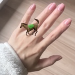 13379491 by 馬です さん