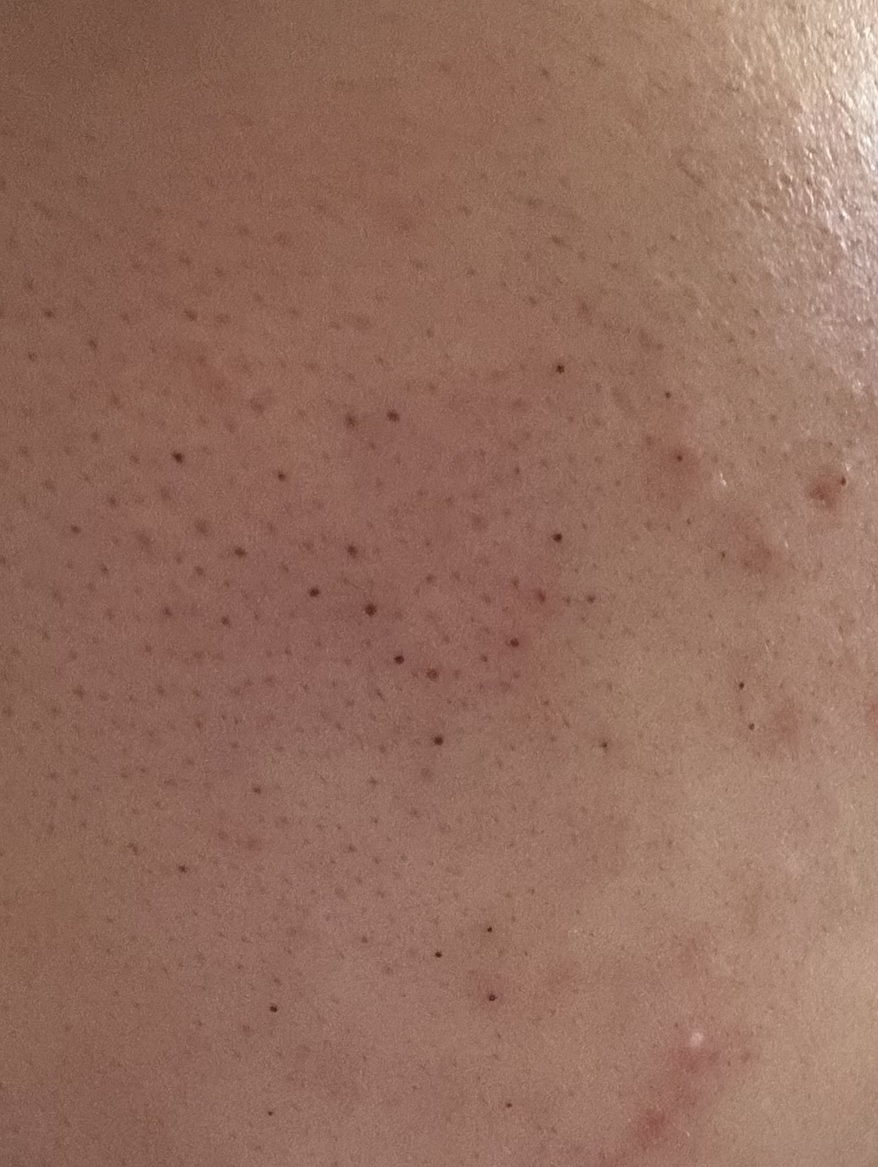 �j�̖ь�by ��������̉摜