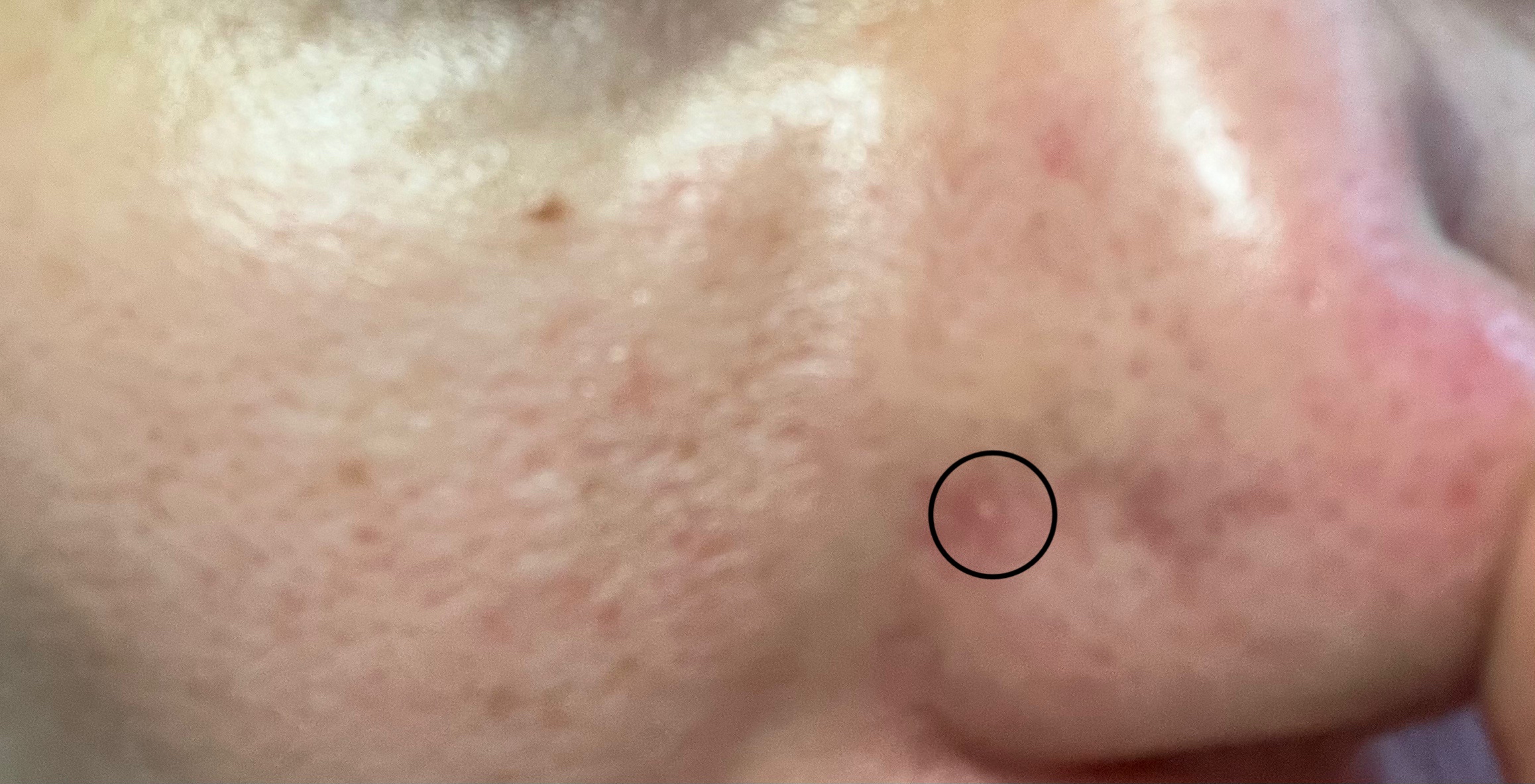 �ь��ɂ���(�ē��e) by ���邿��2222���� �̉摜