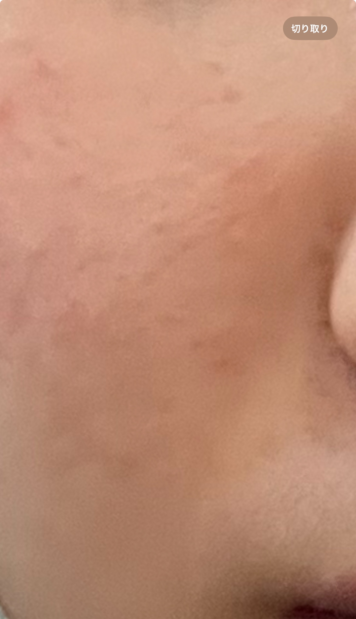 キュレルby ばっ2343さんの画像