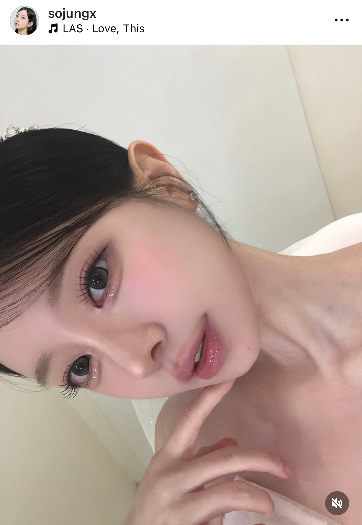 �����F�̃A�C�V���h�E�������Ă��������I by �Ԍ���9532���� �̉摜