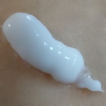 13289200 by にゃにゃにゃーんち さん