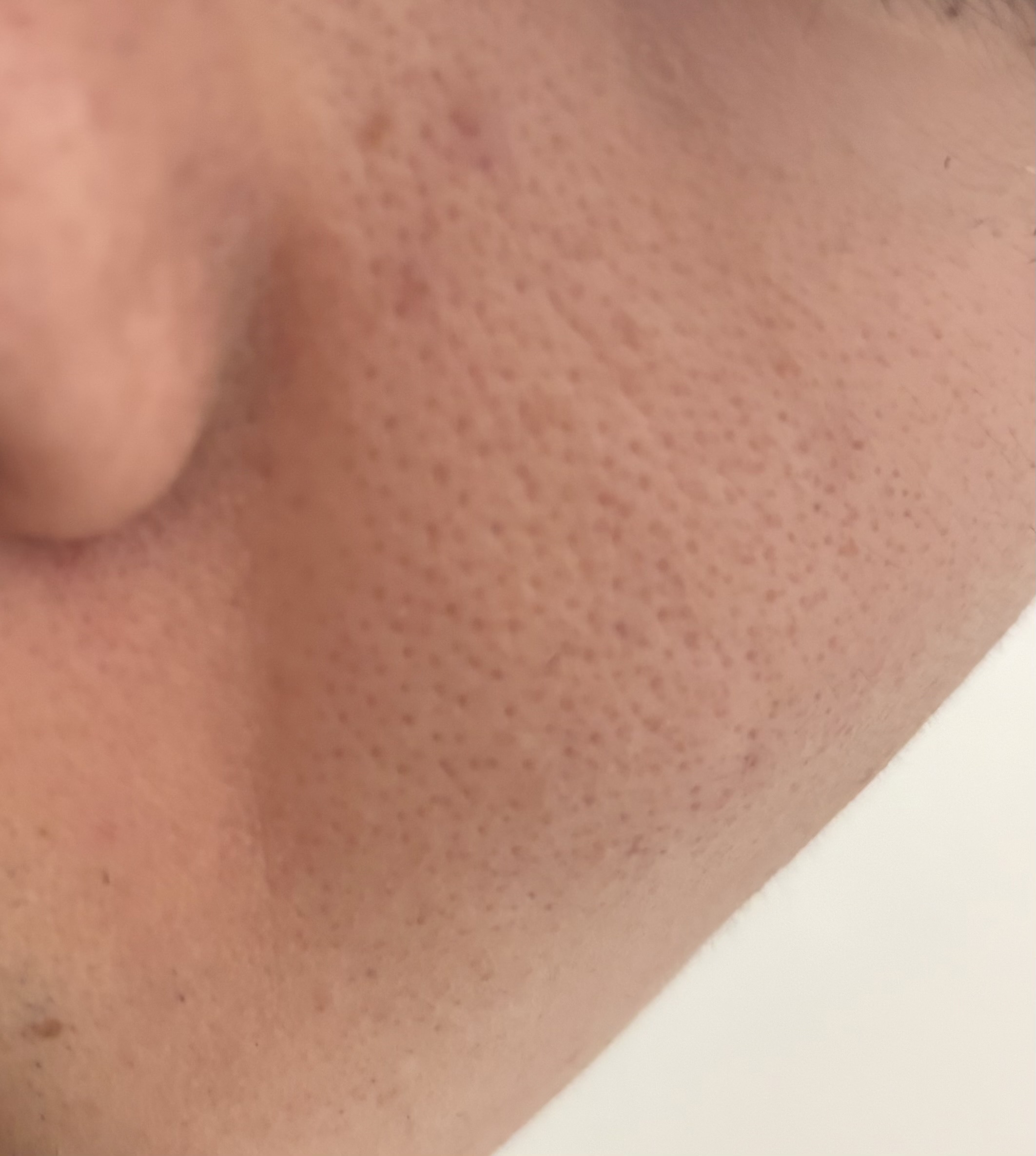 �u�{�����Ӂv�ь��̉���by �������K3089����̉摜