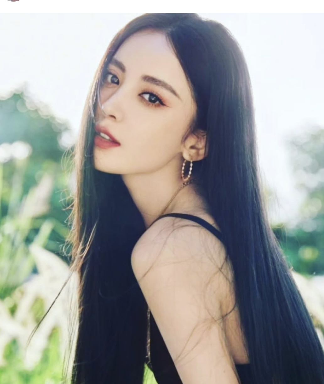 �ʐ^�̏��� by �������� �̉摜