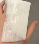 13365130 by NeneNN さん