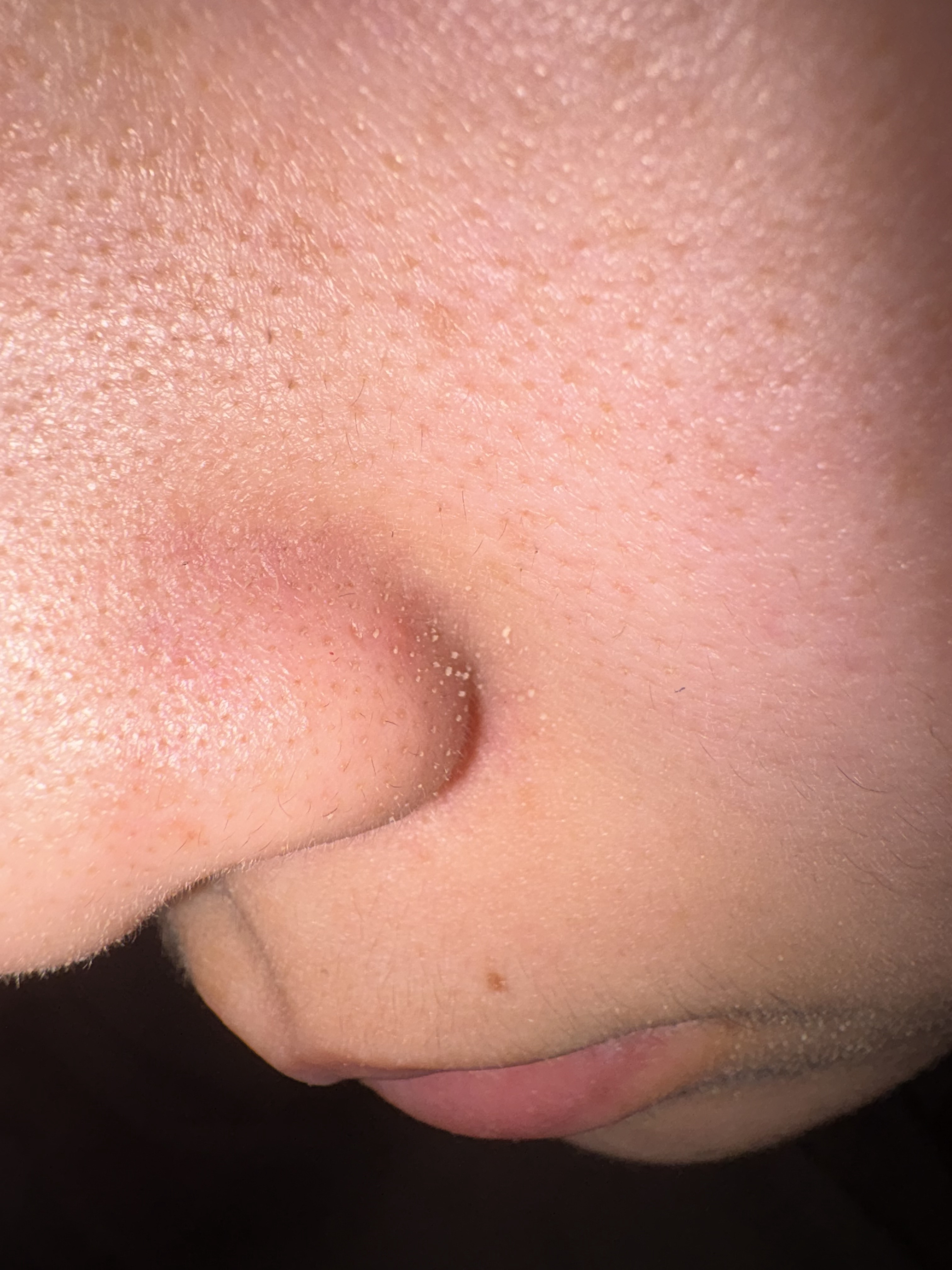 �ь��̎�� by l7sfy���� �̉摜