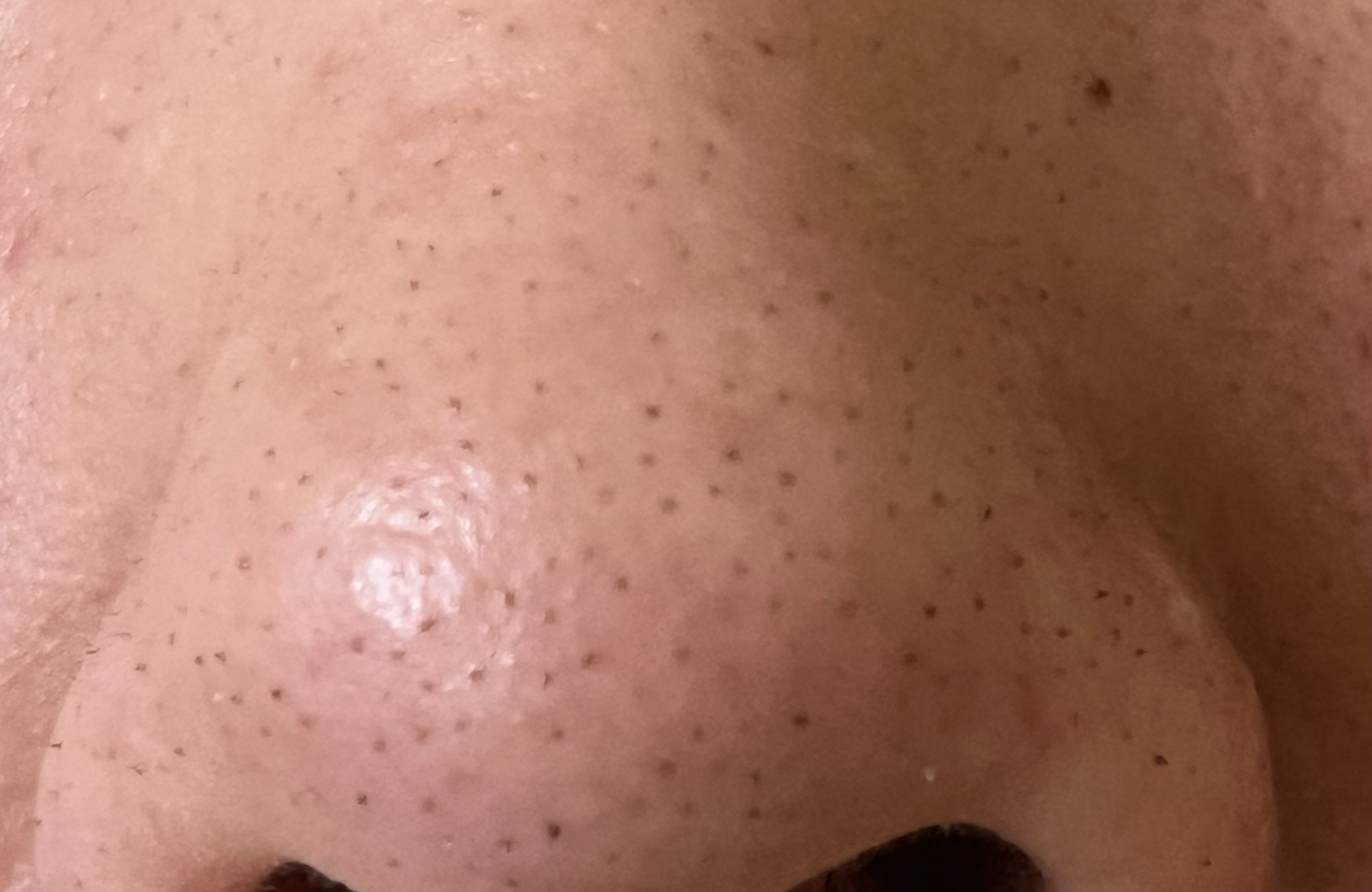 �@�̍����݂ɂ��Ăł�by ��������̉摜