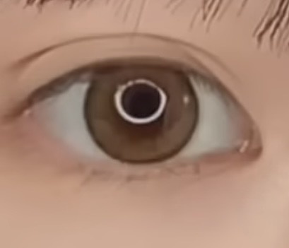 ���܂����s��d�ɂł��܂��� by �s���2000���� �̉摜