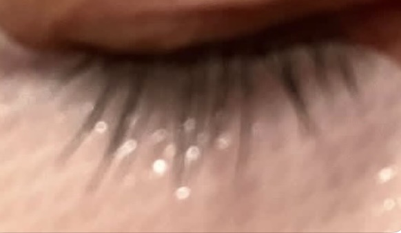 こんばんは。 by 月夜野銀兎5087さん の画像