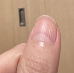 13298776 by oLUNAo さん