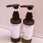 13384932 by バンビたん さん