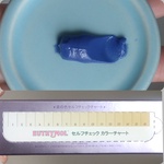 13420036 by sho217 さん