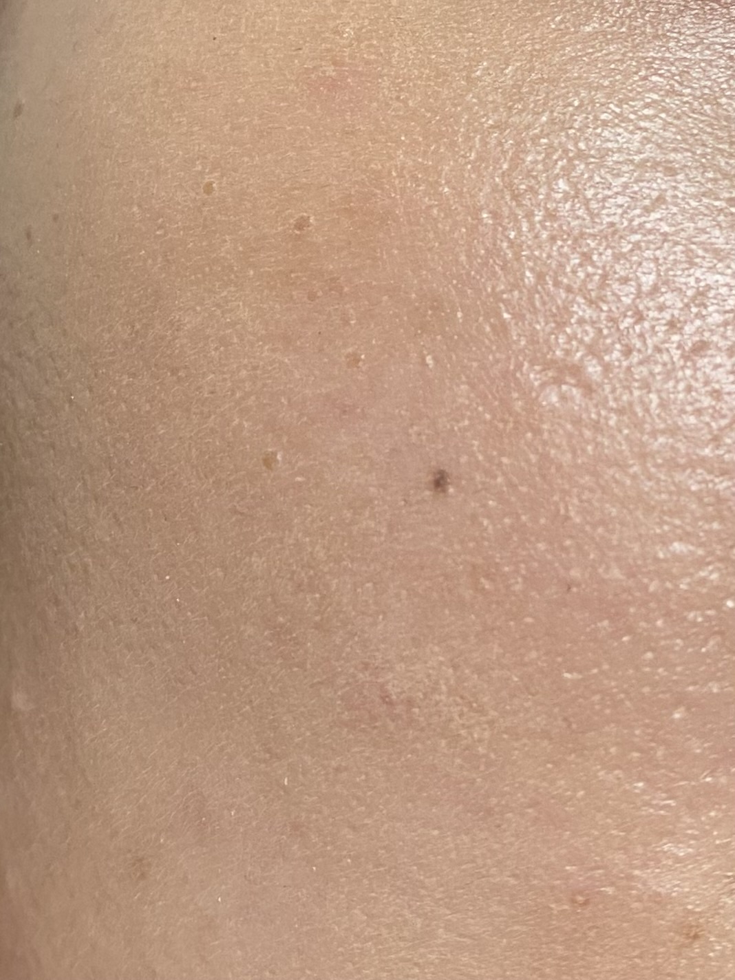 �t�@���f���Y��ɂ̂�܂���by m-on30����̉摜