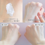 13548692 by ju_n さん