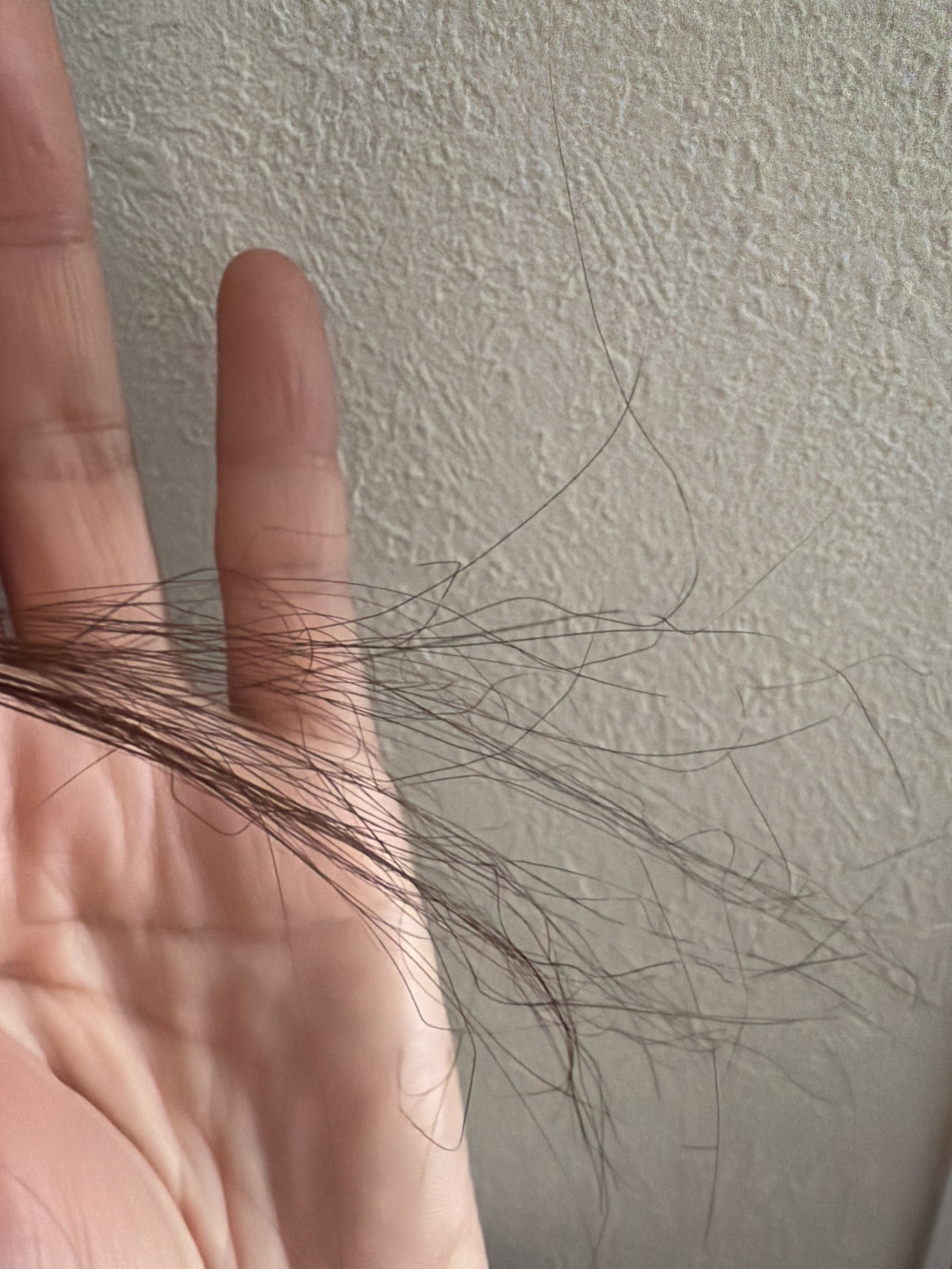 ���̖�by ��������̉摜