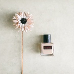 13288408 by _mii_beauty__ さん