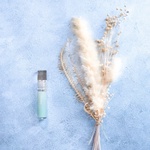 13457433 by _mii_beauty__ さん