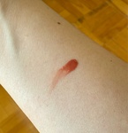 13296222 by シンバ０３３０ さん