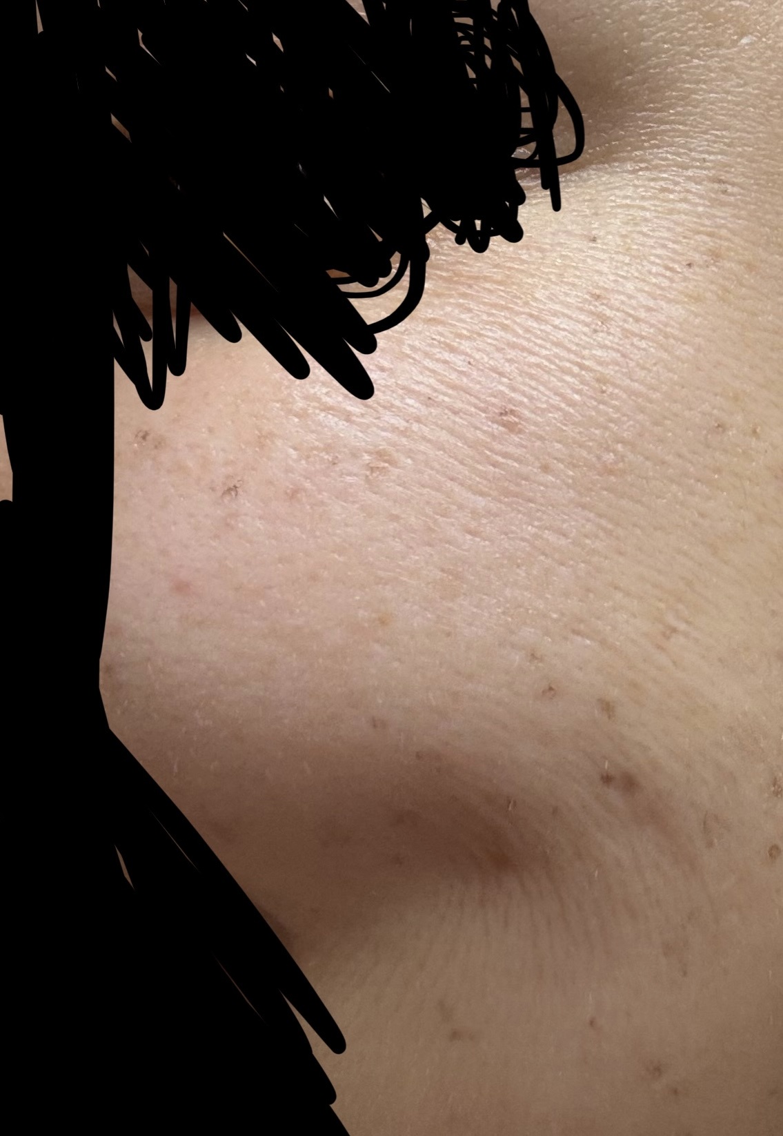 ����͂���߂�V���ł��傤���Hby �A�����{���c����̉摜