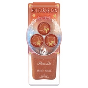 ＜現品＞ネイル冬新色6色セットプレゼント / パラドゥ